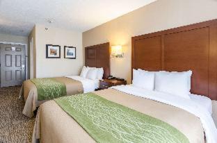 Wytheville Hotel | Comfort Inn Wytheville - Fort Chiswell