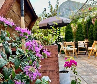 Vratsa Apartment | Comfort Luxury Apartments