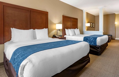 Bozeman Hotel | Comfort Suites Airport - University