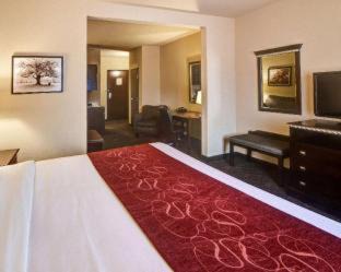 Central Arlington Hotel | Comfort Suites Arlington - Entertainment District