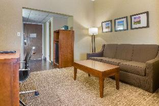Bethlehem Hotel | Comfort Suites Bethlehem Near Lehigh University and LVI Airport