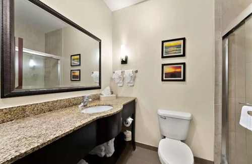 Central City Hotel | Comfort Suites Corpus Christi Central