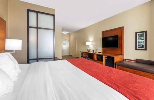 Florence Hotel | Comfort Suites Florence I-95
