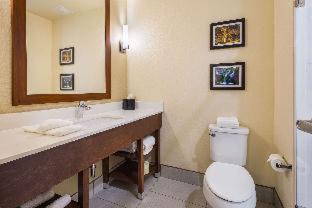 Powdersville Hotel | Comfort Suites Greenville South