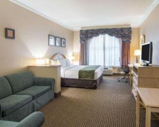 Barrett Hotel | Comfort Suites Kingwood Houston North Humble 59