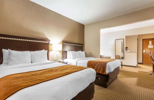 London Hotel | Comfort Suites London South