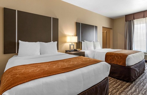 Barker Hotel | Comfort Suites Near Sam Houston Race Park