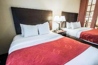 Orlando Hotel | Comfort Suites Orlando Airport