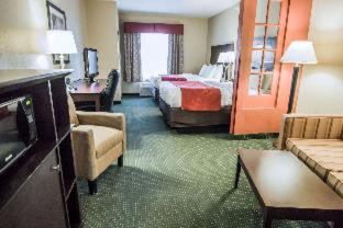 Orlando Hotel | Comfort Suites Orlando Airport