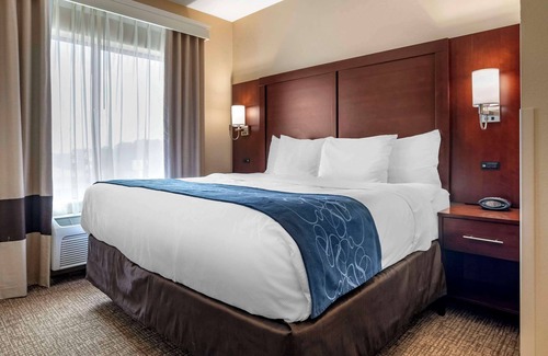 Pell City Hotel | Comfort Suites Pell City I-20 exit 158