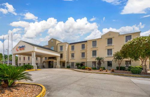 Port Allen Hotel | Comfort Suites Port Allen - Baton Rouge