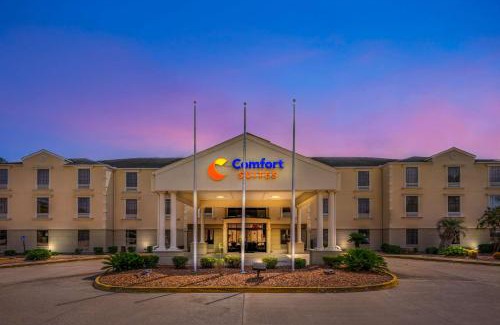 Port Allen Hotel | Comfort Suites Port Allen - Baton Rouge