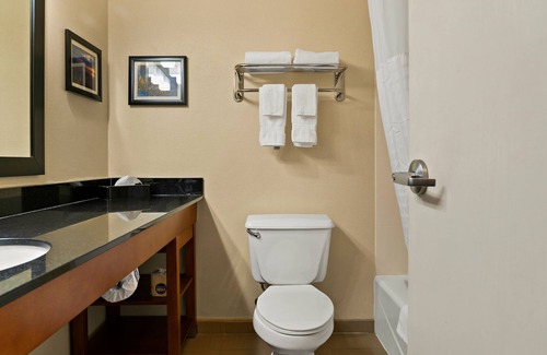 Saginaw Hotel | Comfort Suites Saginaw