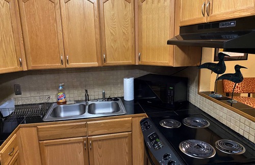 Baton Rouge Condo | Comfortable and Quiet Condo in Perfect LSU/Downtown Area