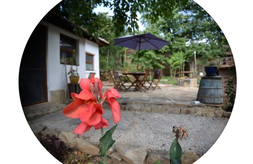 Pavlikeni Other | Comfortable holiday rental with 2 chefs at hand