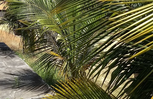 Iguabinha House | Comfortable house in Araruama /Iguabinha