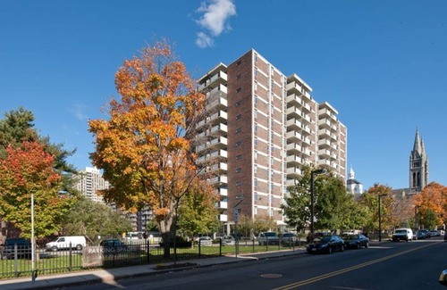 Medical Center Area Apartment | Comfy 2 Bed Apt 6 Min Walk To Boston Children's Hospital, Brigham, Dana Farber.
