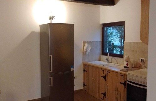Borsa Cabin | Comfy Nature retreat in the Carpathian Mountains - Edelweiss Cabin