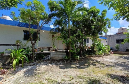 Colonia Adolfo Lopez Mateos Apartment | Comfy studio on downtown, 3 blocks to ocean views, calm, safe & quiet