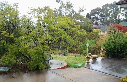 North Bendigo House | Compact Bungalow in a peaceful, serene garden.