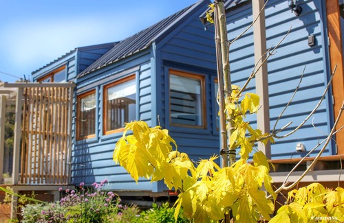 Forthside Cabin | Compass Hut