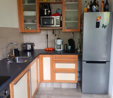 Gouda Apartment | complete woning met zonnige achtertuin