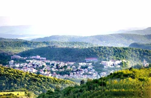 Arbanasi House | Complex ARBANASHKI STYLE-Panoramic View with Summer and Winter terrace, Children's Area and PLAYING SALA
