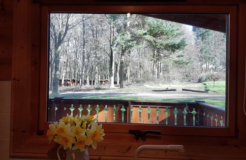 Louth Cabin | Connie Cottage (Log Cabin), Kenwick Park Woods, nr Louth, Lincolnshire