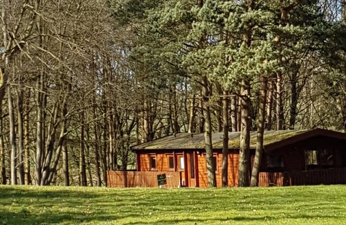 Louth Cabin | Connie Cottage (Log Cabin), Kenwick Park Woods, nr Louth, Lincolnshire