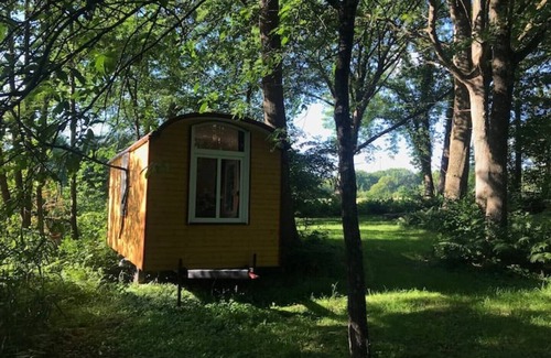 Kleve House | Construction trailer - in the middle of nature