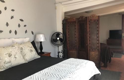 Ekurhuleni Apartment | Contemporary Stay at Giraffe Cottage