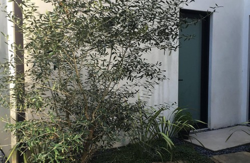 Northeast Apartment | Contemporary suite in Santa Monica with private entrance