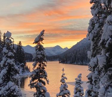 Stikine Region Ski Chalet | Cooks and Puppies Hideaway