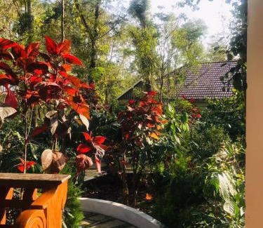 Somvarpet Resort | Coorg Orange Blossom Resort and Spa