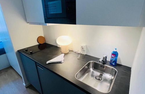 København NV Apartment | Copenhagen Studio with Double Bed and Kitchen 2