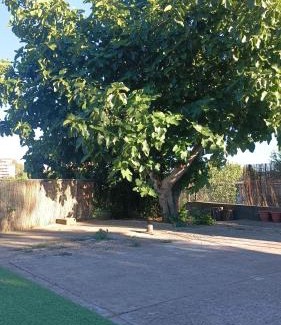 Barbastro House | Coqueta y agradable casita muy cerquita del centro