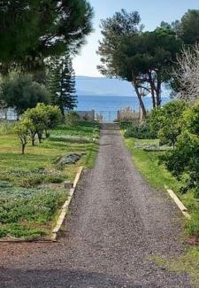Agii Theodori Villa | Coralia's beachfront sea view studio