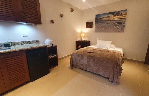 Centro - Supmza 001 Apartment | Coralito Malecon Luxury Studio