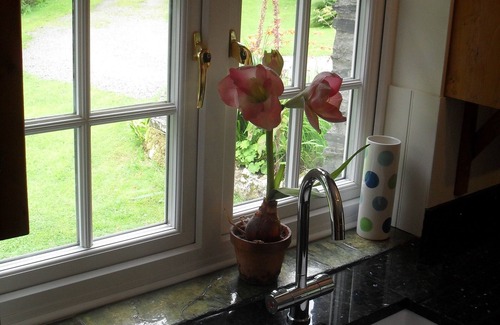 Boscastle Cottage | Cornish Cottage. Set In 7 Acres With Trout Fishing, Boscastle, North Cornwall.