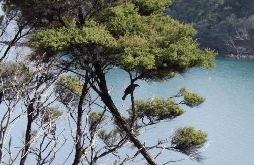 Coromandel Hotel | Coromandel Seaview Motel