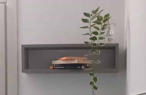Bagnolo San Vito Bed & Breakfast | Corte castella