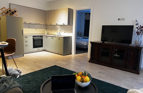 Druskininkai Apartment | Cosy aparment in the center of Druskininkai 1 min to the Aqua park(Pet friendly)