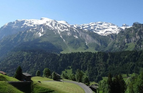 Engelberg Apartment | Cosy apartment for 4 guests with WIFI, TV, balcony, pets allowed and parking