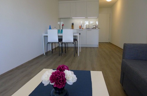 Lucerne Apartment | Cosy apartment for 4 people with WIFI, TV, balcony and parking