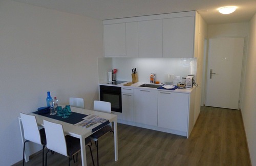 Lucerne Apartment | Cosy apartment for 4 people with WIFI, TV, balcony and parking