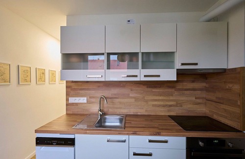 Harrachov Apartment | Cosy apartment for 5 guests with WIFI, TV and balcony