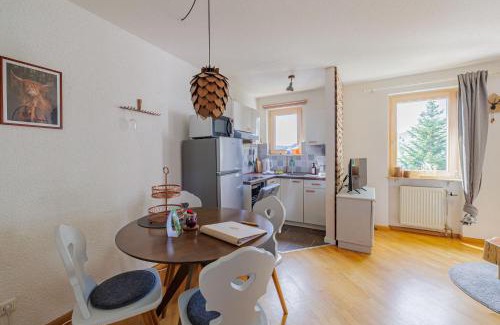 Todtnauberg Apartment | Cosy Apartment im Wanderparadies Balkon mit Traumblick Sauna im Haus Tiefgarage E-Ladestation