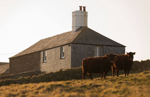 Saint Gennys Cottage | Cosy cottage on the cliffs,for walking and nature lovers near Crackington Haven.