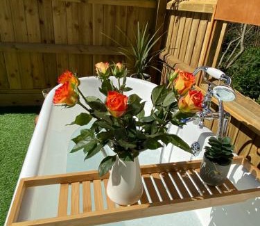 Ventnor Apartment | Cosy dog friendly lodge with an outdoor bath on the Isle of Wight