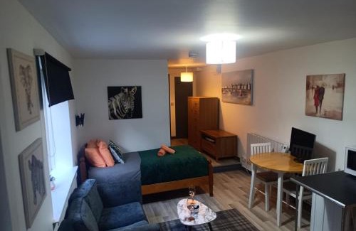 Adamsdown Apartment | Cosy Garden Flat near Bay & City Centre - Fast Wifi, 5 mins to centre